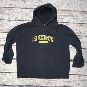 Michigan Wolverines NCAA Collegiate Pullover Jumper Hoodie Sweatshirt